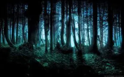 Tu marches dans une forêt la nuit, il fait très sombre, et tu entends quelque chose craquer. Que fais-tu ?
