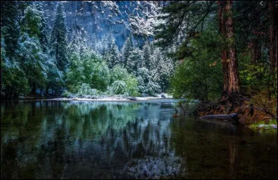 Rivière ou forêt ?