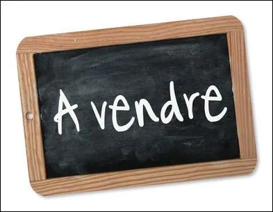 Peut-on vendre un site ?