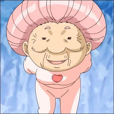 Quelle est la particularité de la soupe du siècle ?