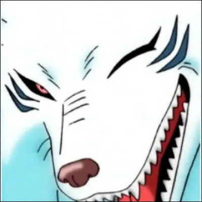 Qui lui a donné le nom de Terry Cloth ?