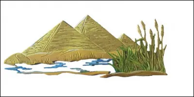 Grande plante graminée pouvant atteindre 2 mètres de haut, une fois taillée sa pointe appelée "calame" était trempée dans l'encre pour écrire. Quelle est-elle ?