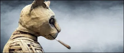 Des tests sur des momies vieilles de plus de 3000 ans se sont avéré positifs au cannabis.