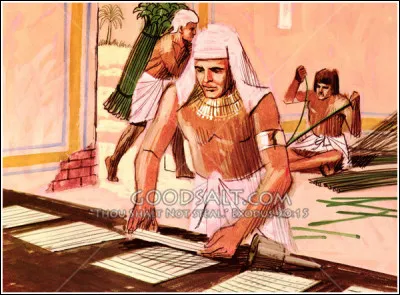 Quelle est cette plante servant de support d'écriture ?