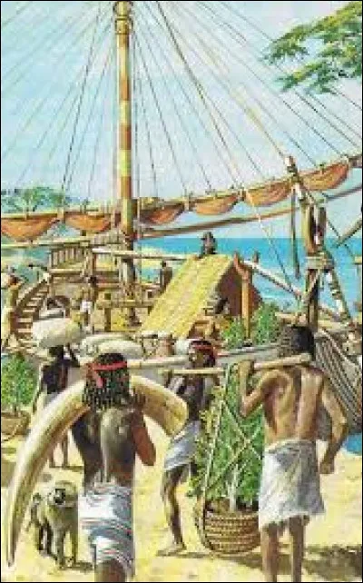 La reine Hatchepsout ordonna une expédition en pays de Pount pour ramener 31 plants de cet arbre excrément précieux. Quel est-il ?