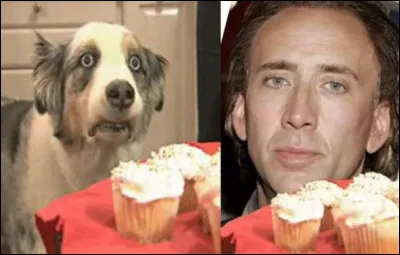 Neveu du réalisateur Francis Ford Coppola !