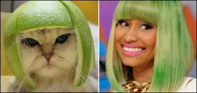 Trouve son nom et tu miauleras de plaisir !