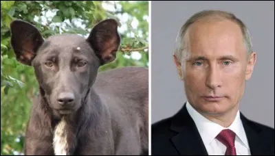 Trouve son nom camarade !