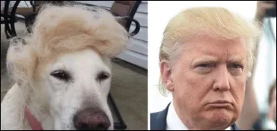 Je sais, la réponse est très difficile, alors fais de ton mieux !