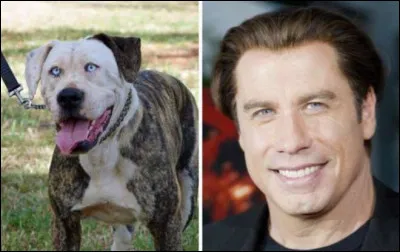 Si tu ne trouves pas, tu risques d'attraper une forte fièvre ... du samedi soir !