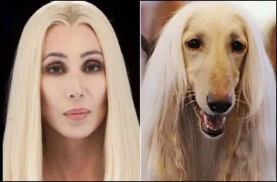 Elle n'est plus en duo avec Sonny !