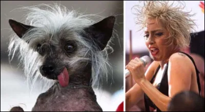 Stefani Joanne Angelina Germanotta !