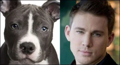 Reconnais-tu cet acteur ?