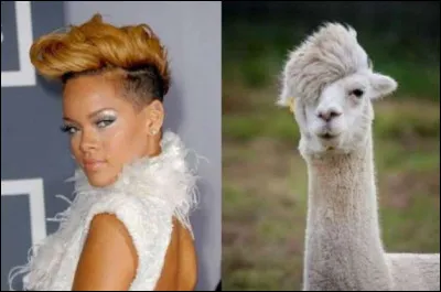 Un indice : La Barbade !