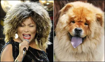 Trouve le nom de cette célébrité et tu rugiras de plaisir !