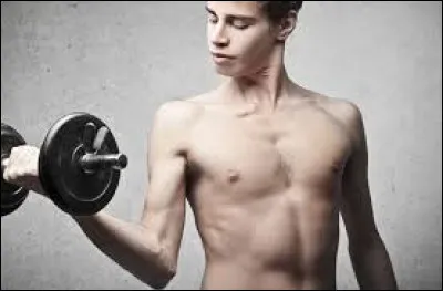 Quel est ce type de morphologie ?