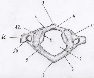 Jeu de cartes, c'est l'...