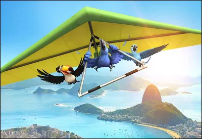 Quelle est la superficie de Rio ?