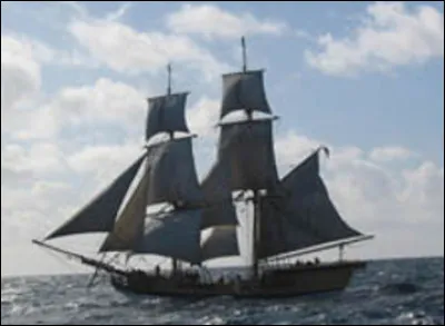Quel est ce voilier à deux mats, navire de prédilection des pirates et corsaires, car rapide et maniable ?