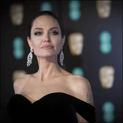 Dans quel film a joué Angelina ?