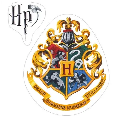 Quelle est ta maison dans "Harry Potter" ?