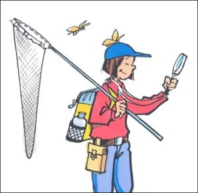 Quel est le seul insecte vivant en Antarctique ?