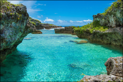 Dans quelle partie de l'Océanie l'île de Niue se situe-t-elle ?