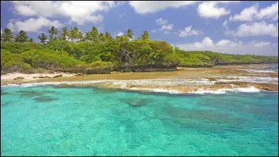 Quelle est la place de l'île de Niue à l'ONU ?