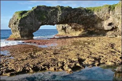 Quel est le pourcentage du territoire de l'île qui est couvert de forêts ?