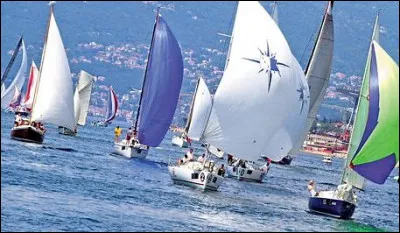 Quelle course de voile célèbre se termine à Pointe-à-Pitre ?