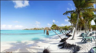 À combien d'habitants la population anguillaise est-elle estimée en 2020 ?