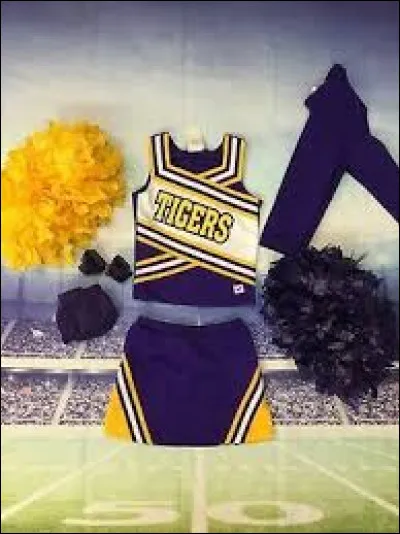 De quelles couleurs serait ton uniforme ?