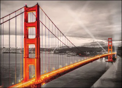 Qui, dans sa chanson, a vu San Francisco Bridge rallier l'univers en deux rives ?