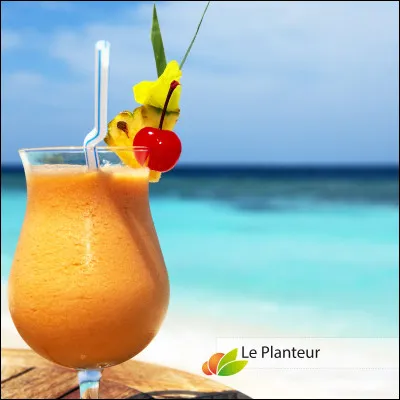 Je suis un cocktail composé de rhum, de jus de fruits et d'épices. Qui suis-je ?