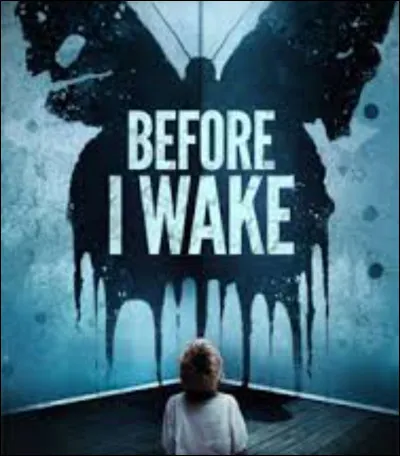 Quel pouvoir possède-t-il ?