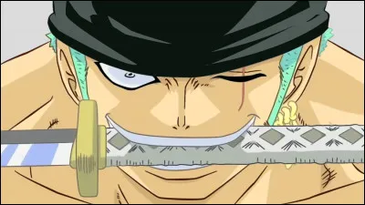 Quelle est la fille qui ressemble à l'ami d'enfance de Zoro ?