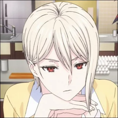 Quel est le personnage principal de ce manga ?