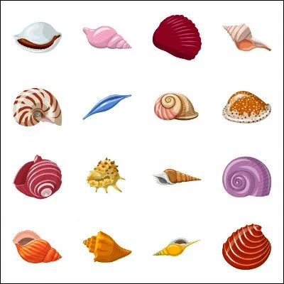 Quels mollusques sont les belons ?