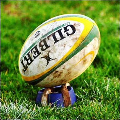 Quel rugbyman n&eacute;o-z&eacute;landais d&eacute;tient le record mondial du nombre de points en &eacute;quipe nationale, avec 1598 points marqu&eacute;s entre 2003 et 2015 ?