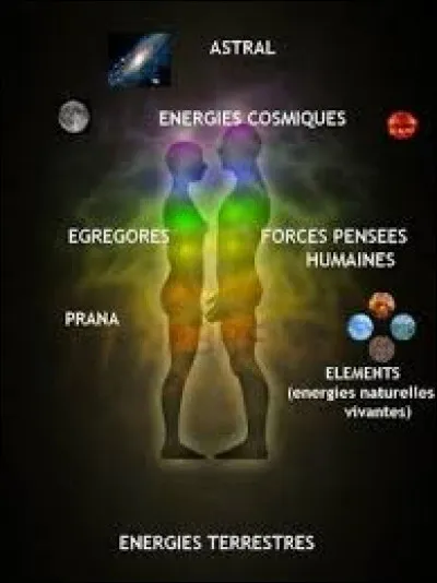 Pour toi, quelle est la partie du corps la plus importante ?