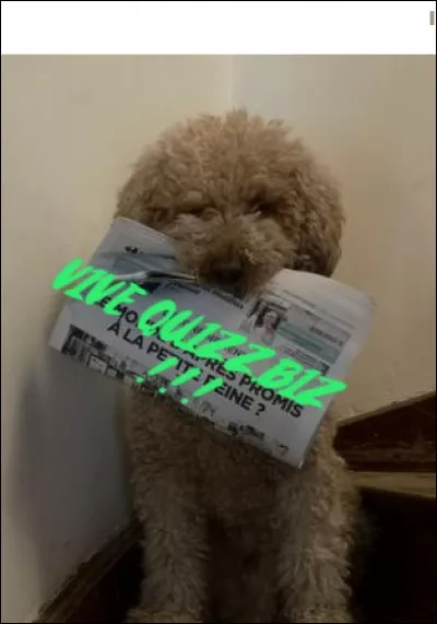 Quel est cet animal ?