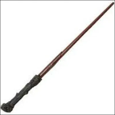 Quel est cet objet ?