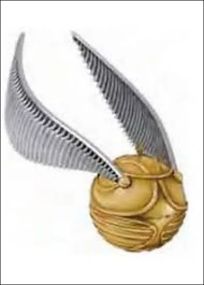 Quel est cet objet ?