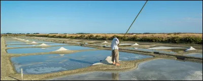 Direction les Pays de la Loire ! Quelle île vendéenne y est réputée pour son sel ?
