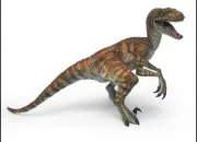 Quiz Les dinosaures carnivores