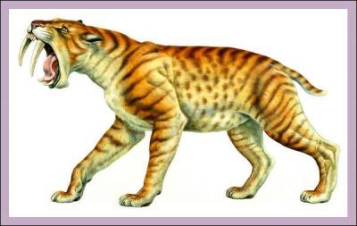 Comment s'appelle ce dinosaure ?