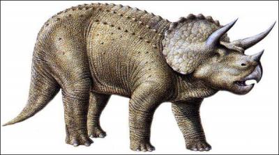 Comment s'appelle ce dinosaure ?
