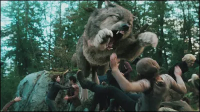 Si on te cherche, que se passe-t-il ?