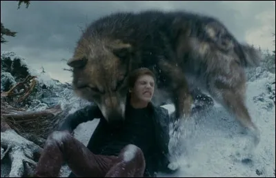 Si on veut te mettre un coup de poing, comment réagis-tu ?