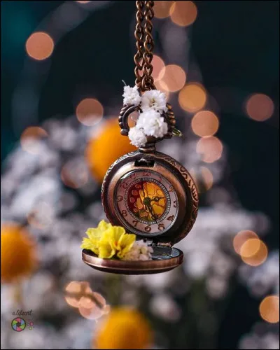 C'est légendaire, Jeanne Calment a vécu longtemps ! Combien de temps ?